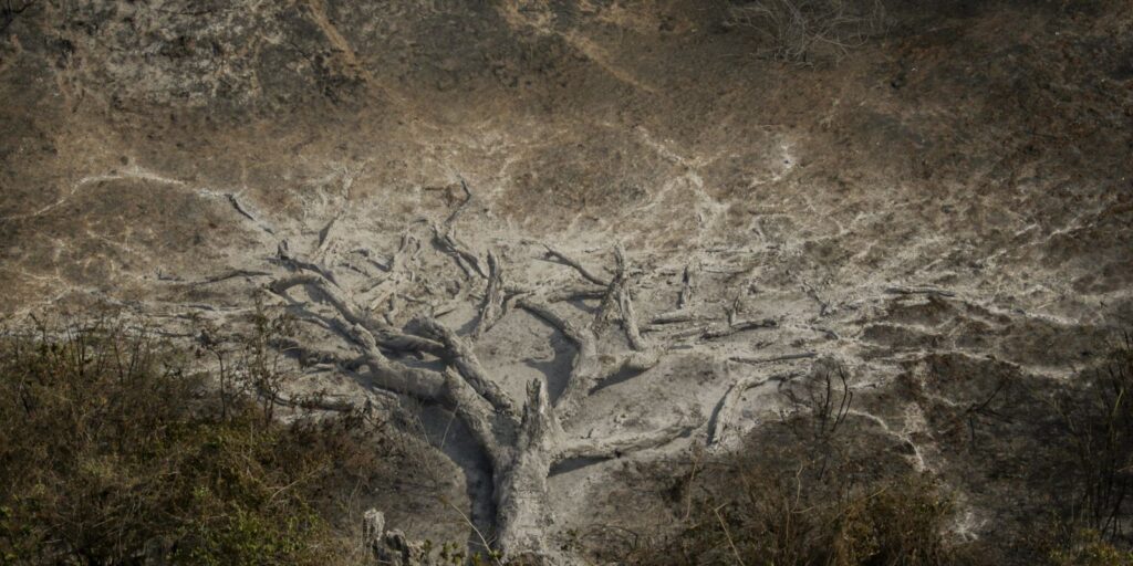 mudancas-climaticas-ja-afetam-85%-dos-brasileiros,-diz-pesquisa